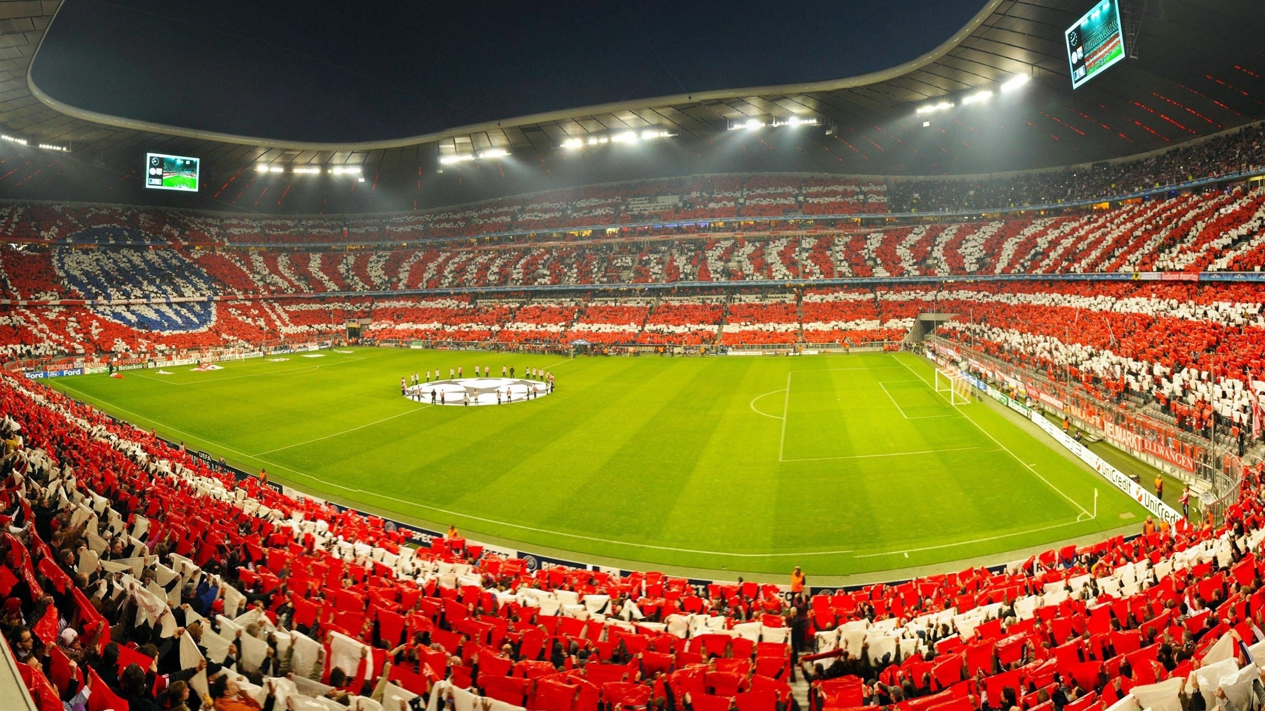 体育明星年度表现总结