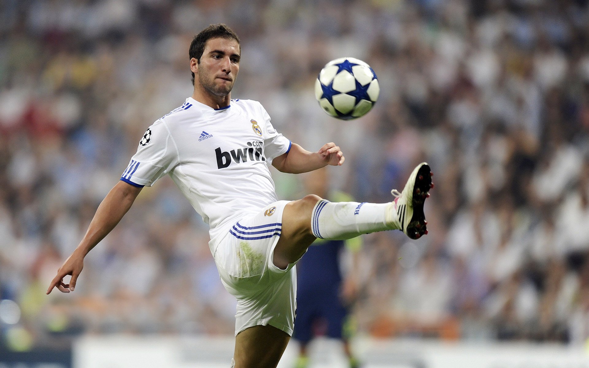 国际老年门球公开赛 日本队凭稳定发挥夺冠